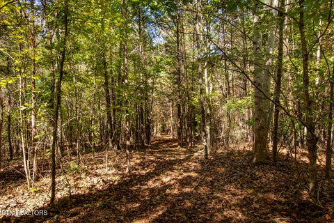 Tiny photo for 146 Bent Creek Tr, Englewood, TN 37329 (MLS # 1359807)