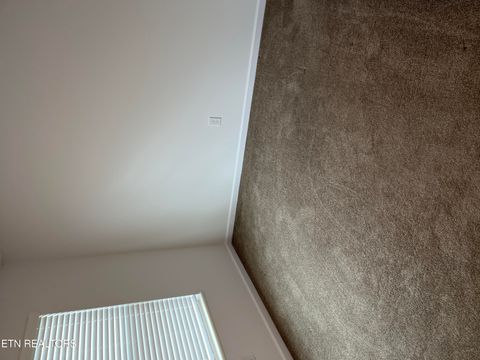 Tiny photo for 6534 Colossal Lane, Corryton, TN 37721 (MLS # 1320290)