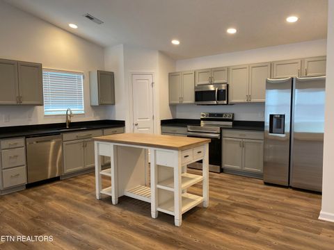 Tiny photo for 6534 Colossal Lane, Corryton, TN 37721 (MLS # 1320290)