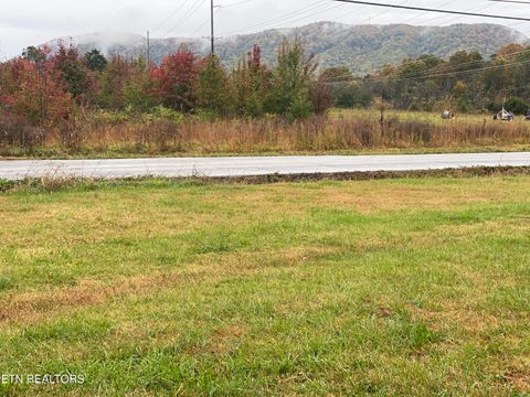 Tiny photo for 6534 Colossal Lane, Corryton, TN 37721 (MLS # 1320290)