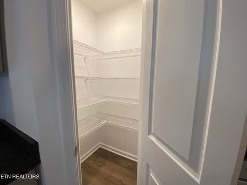 Tiny photo for 6534 Colossal Lane, Corryton, TN 37721 (MLS # 1320290)