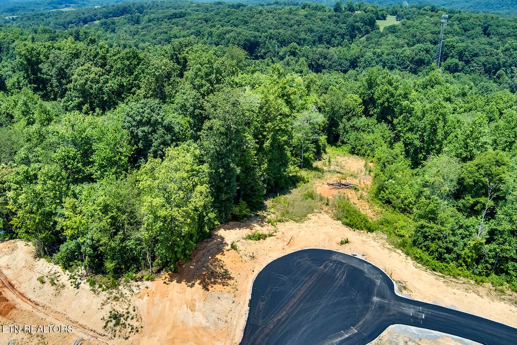 Photo of 675 Travellers Way, Lenoir City, TN 37771 (MLS # 1315788)