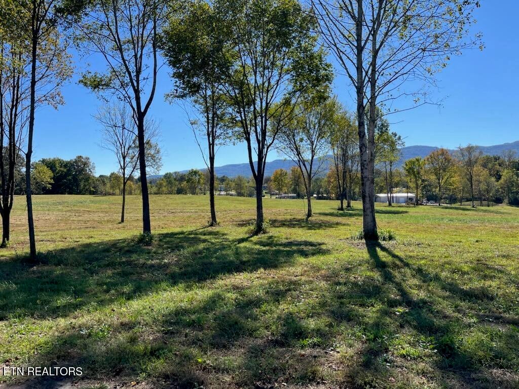 Photo of Stone Mill Lot 1 Rd, Jacksboro, TN 37757 (MLS # 1357923)