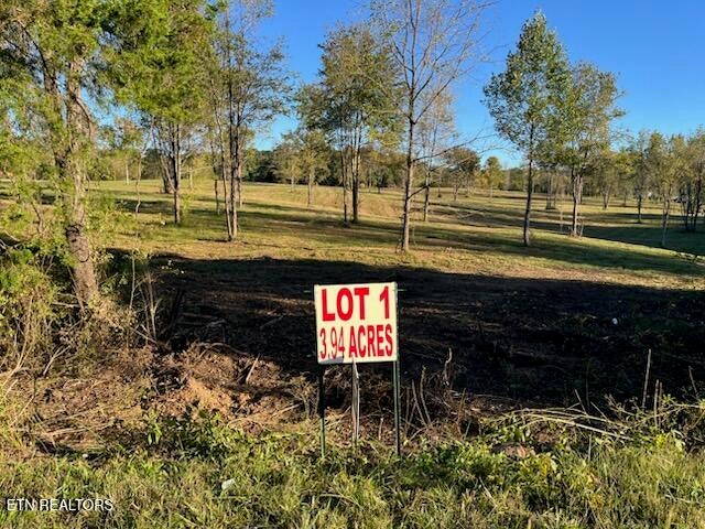 Photo of Stone Mill Lot 1 Rd, Jacksboro, TN 37757 (MLS # 1357923)