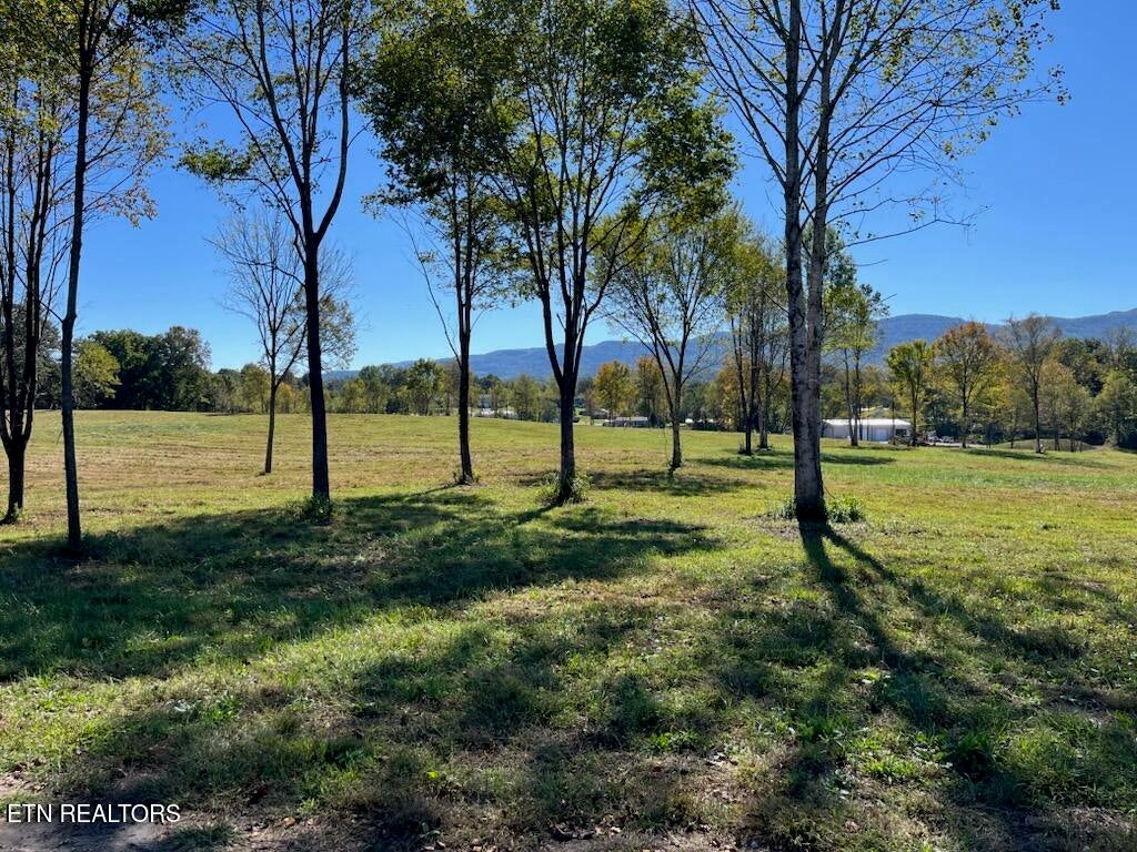 Photo of Stone Mill Lot 1 Rd, Jacksboro, TN 37757 (MLS # 1357923)