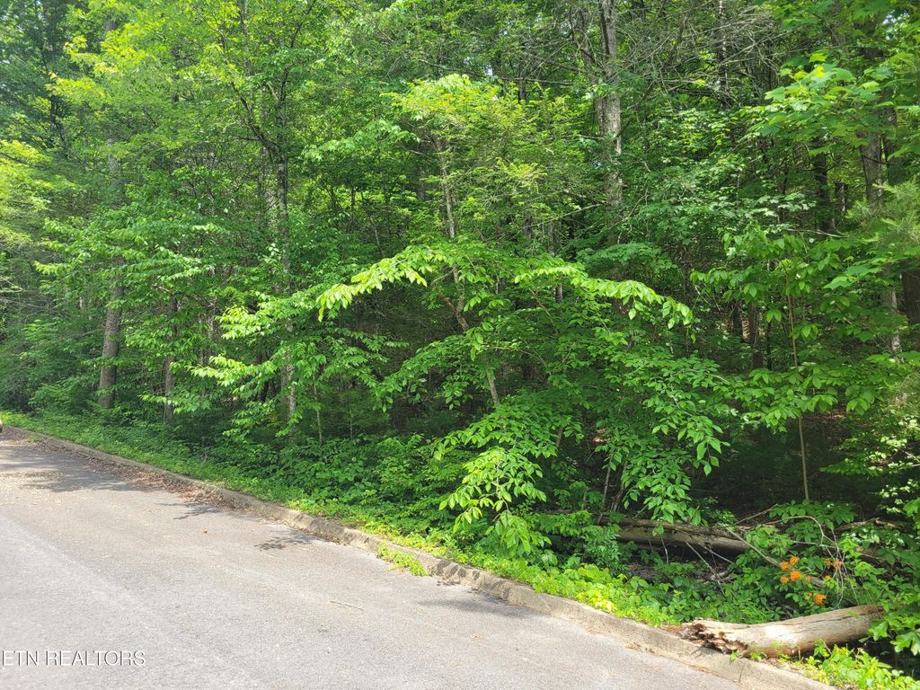 Photo of 10 Rail Hill Lane, Cosby, TN 37722 (MLS # 1342010)