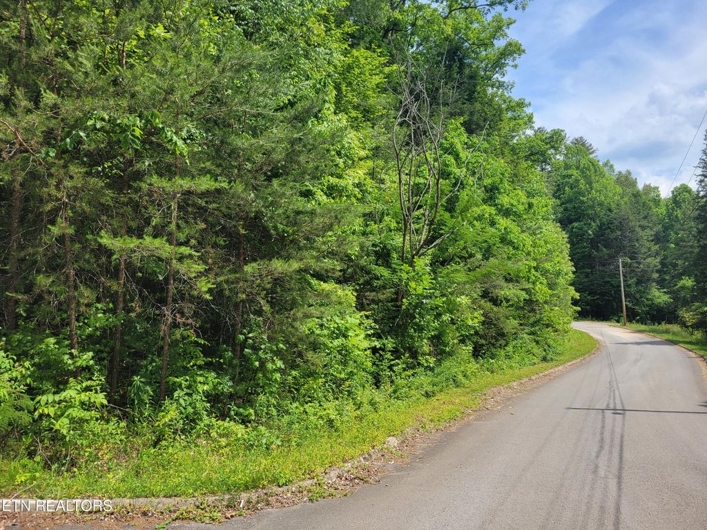Photo of 10 Rail Hill Lane, Cosby, TN 37722 (MLS # 1342010)