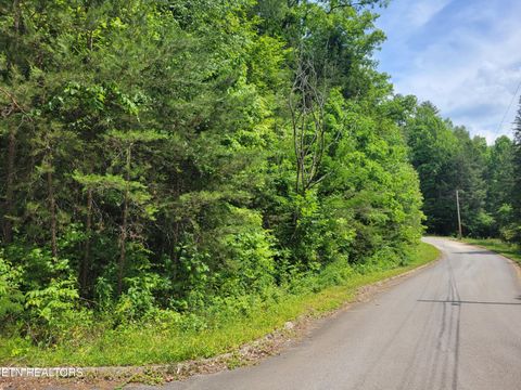 Photo of 10 Rail Hill Lane, Cosby, TN 37722 (MLS # 1342010)