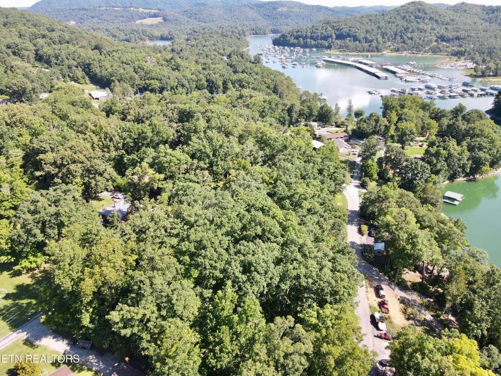 Photo of Cape Norris Rd #58, New Tazewell, TN 37825 (MLS # 1348351)