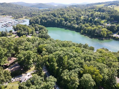 Tiny photo for Cape Norris Rd #58, New Tazewell, TN 37825 (MLS # 1348351)