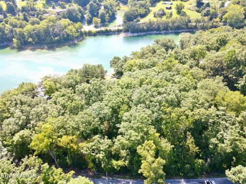 Tiny photo for Cape Norris Rd #58, New Tazewell, TN 37825 (MLS # 1348351)