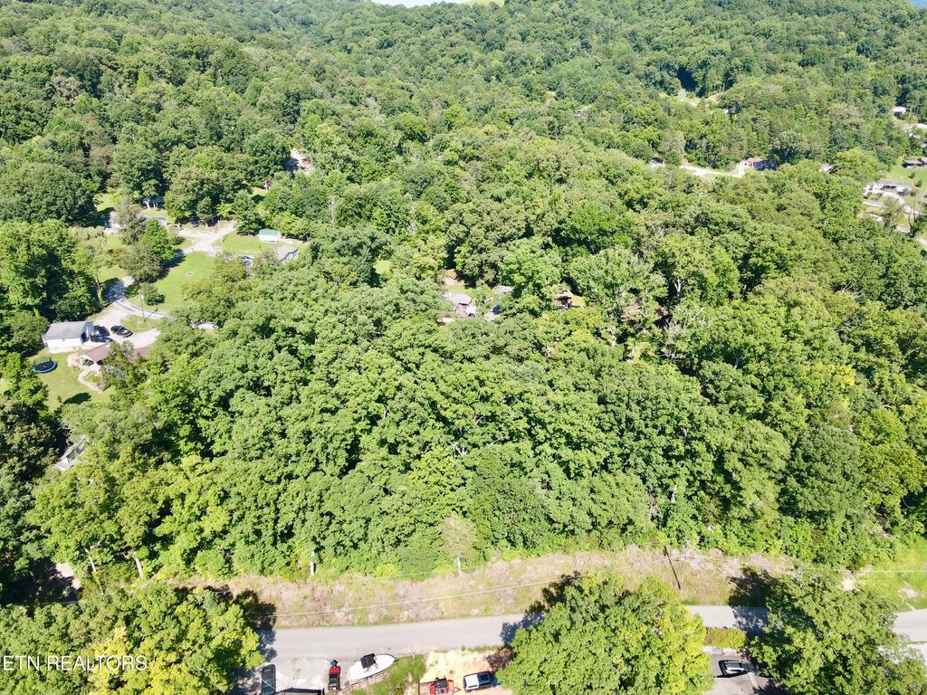Photo of Cape Norris Rd #58, New Tazewell, TN 37825 (MLS # 1348351)