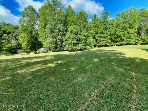 Tiny photo for 267 Paradise Lane, Jacksboro, TN 37757 (MLS # 1344783)
