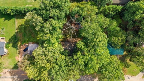 Tiny photo for 1808 E Alpine Drive, Maryville, TN 37804 (MLS # 1359637)