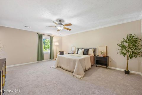 Tiny photo for 159 Federal Blvd, Knoxville, TN 37934 (MLS # 1319036)