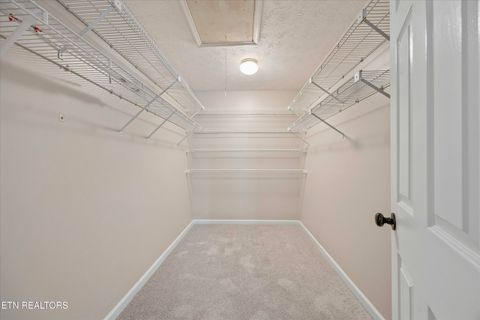 Tiny photo for 159 Federal Blvd, Knoxville, TN 37934 (MLS # 1319036)