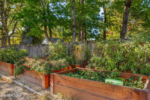 Tiny photo for 159 Federal Blvd, Knoxville, TN 37934 (MLS # 1319036)