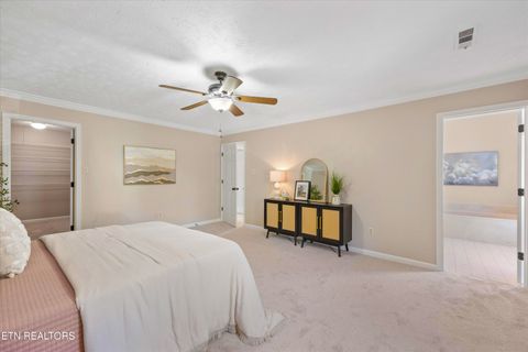Tiny photo for 159 Federal Blvd, Knoxville, TN 37934 (MLS # 1319036)