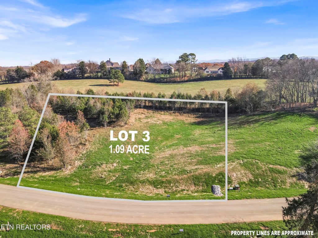 Photo of 3824 Lakeside Estates Way, Louisville, TN 37777 (MLS # 1299969)