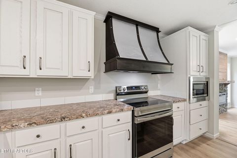 Tiny photo for 283 Farmers Hollow Rd, Clinton, TN 37716 (MLS # 1341645)