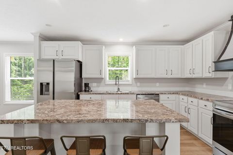 Tiny photo for 283 Farmers Hollow Rd, Clinton, TN 37716 (MLS # 1341645)