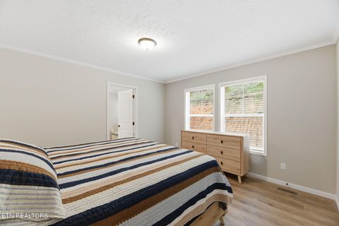 Tiny photo for 283 Farmers Hollow Rd, Clinton, TN 37716 (MLS # 1341645)