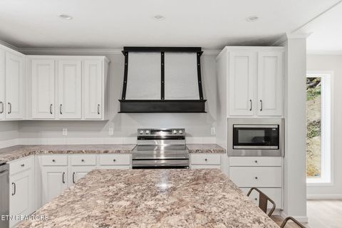 Tiny photo for 283 Farmers Hollow Rd, Clinton, TN 37716 (MLS # 1341645)