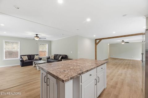 Tiny photo for 283 Farmers Hollow Rd, Clinton, TN 37716 (MLS # 1341645)