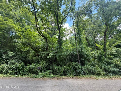 Photo of 4907 Parva Drive, Knoxville, TN 37914 (MLS # 1349066)