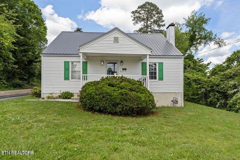 313 Lamar Ave Clinton TN 37716