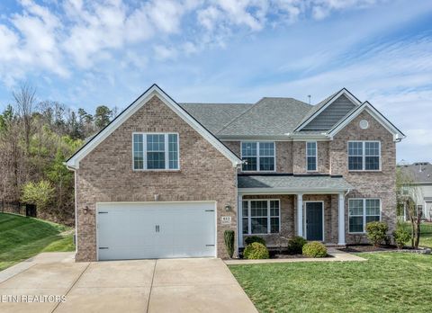 Photo of 613 Branchwood Lane, Maryville, TN 37801 (MLS # 1333436)