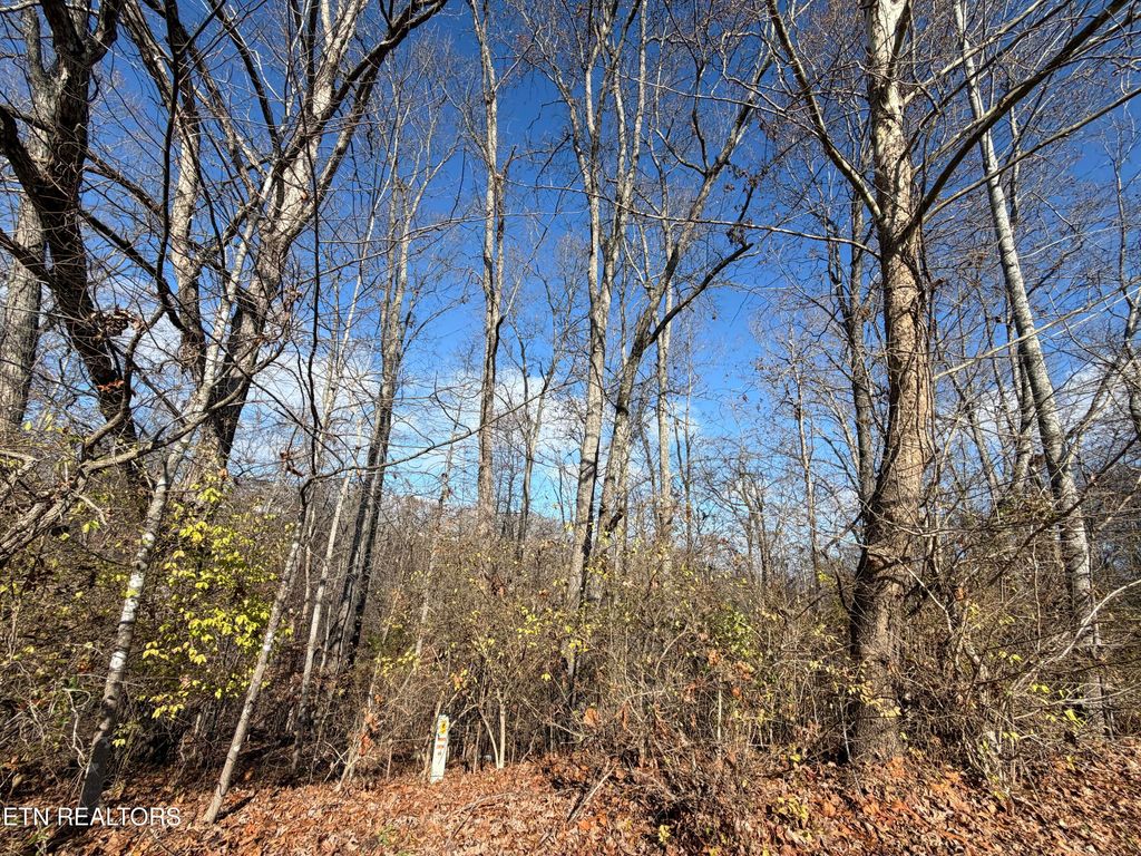 Photo of DELLA Lane, Tazewell, TN 37879 (MLS # 1320699)