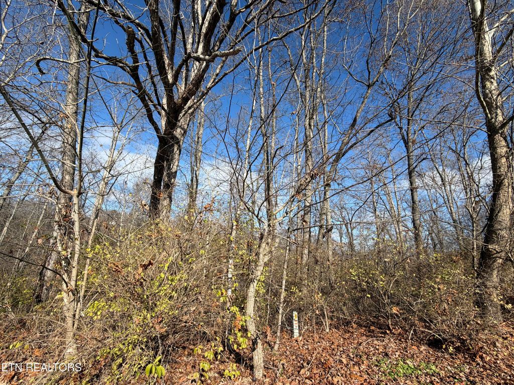 Photo of DELLA Lane, Tazewell, TN 37879 (MLS # 1320699)