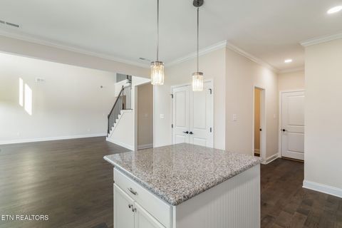 Tiny photo for 3609 Trailing Vine Lane, Knoxville, TN 37931 (MLS # 1322730)