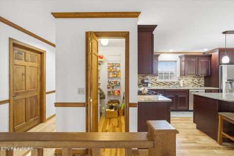 Tiny photo for 160 Lone River Lane, Clinton, TN 37716 (MLS # 1327671)