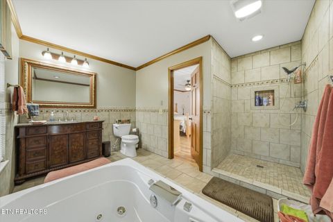 Tiny photo for 160 Lone River Lane, Clinton, TN 37716 (MLS # 1327671)