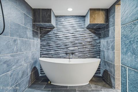 Tiny photo for 160 Lone River Lane, Clinton, TN 37716 (MLS # 1327671)