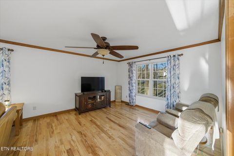 Tiny photo for 160 Lone River Lane, Clinton, TN 37716 (MLS # 1327671)