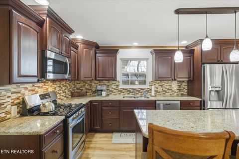 Tiny photo for 160 Lone River Lane, Clinton, TN 37716 (MLS # 1327671)