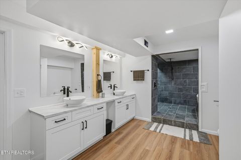 Tiny photo for 160 Lone River Lane, Clinton, TN 37716 (MLS # 1327671)