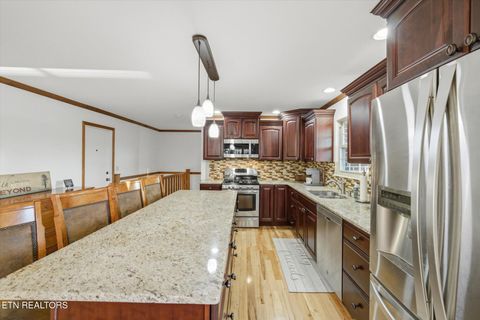 Tiny photo for 160 Lone River Lane, Clinton, TN 37716 (MLS # 1327671)