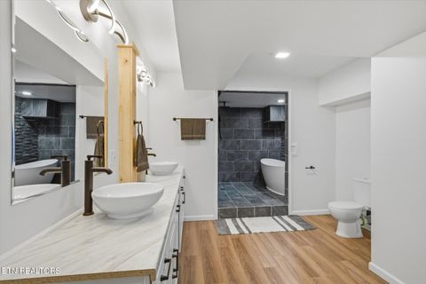 Tiny photo for 160 Lone River Lane, Clinton, TN 37716 (MLS # 1327671)