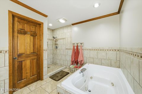 Tiny photo for 160 Lone River Lane, Clinton, TN 37716 (MLS # 1327671)