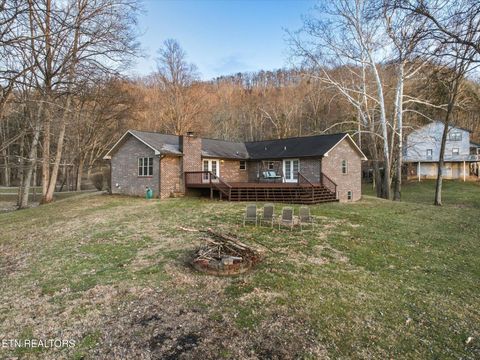 Tiny photo for 160 Lone River Lane, Clinton, TN 37716 (MLS # 1327671)