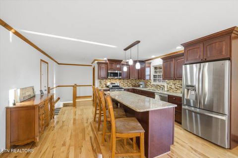 Tiny photo for 160 Lone River Lane, Clinton, TN 37716 (MLS # 1327671)