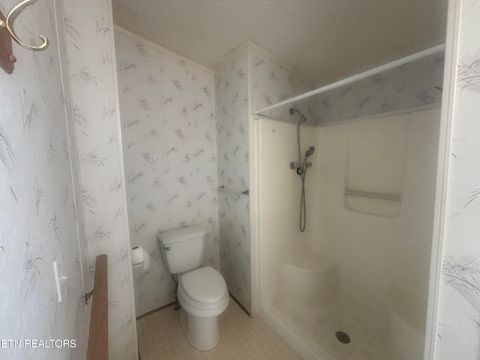 Tiny photo for 350 Westmoreland Court, Seymour, TN 37865 (MLS # 1332760)