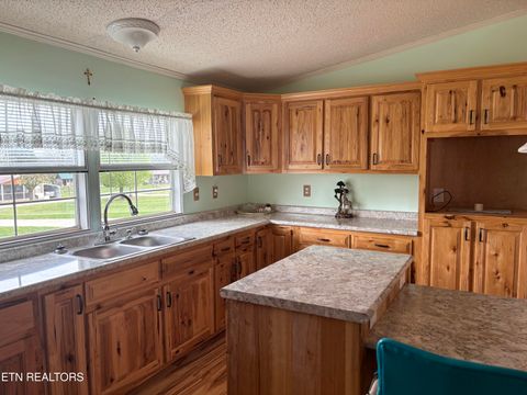 Tiny photo for 350 Westmoreland Court, Seymour, TN 37865 (MLS # 1332760)