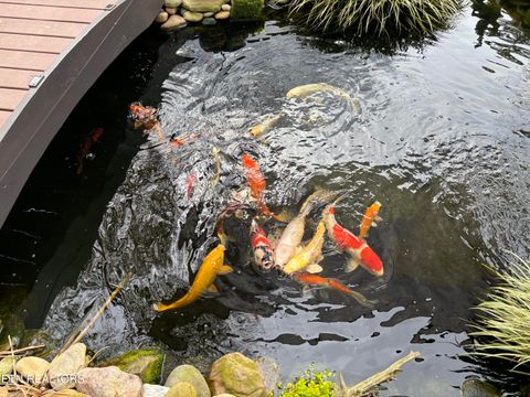 Tiny photo for 350 Westmoreland Court, Seymour, TN 37865 (MLS # 1332760)