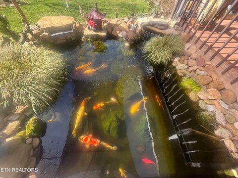 Tiny photo for 350 Westmoreland Court, Seymour, TN 37865 (MLS # 1332760)