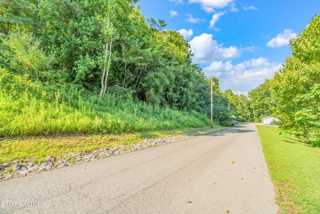 Photo of 2 Shanghai Landing Lane, LaFollette, TN 37766 (MLS # 1310622)